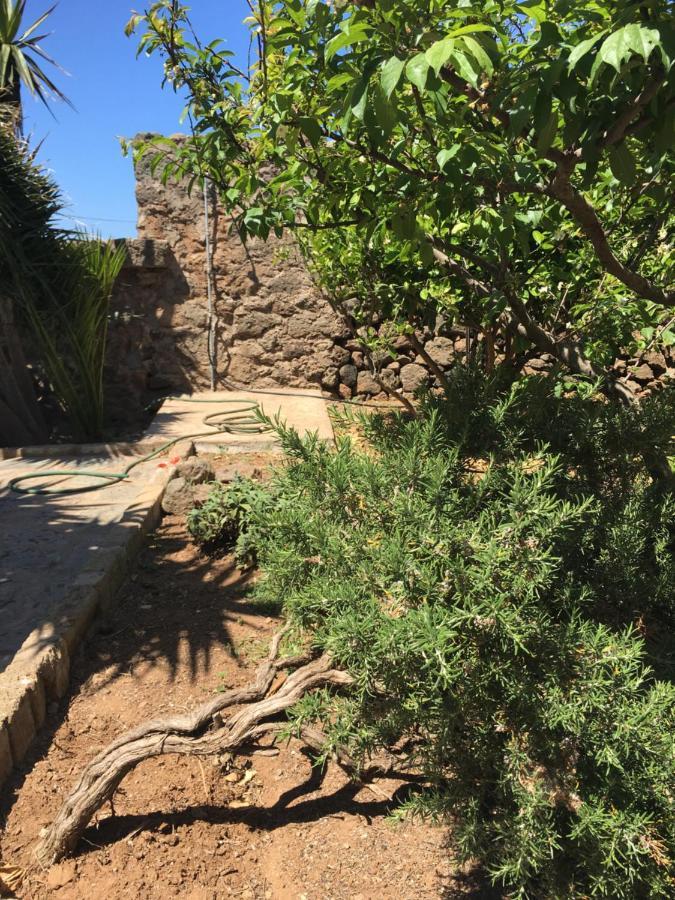 Cactus B&B Le Casette Di Marilena Pantelária Exterior foto
